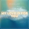 My Love is For You (Explicit) - Dj Aguillar