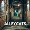 The City Cat - The Jazz Man
