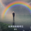 如果我能看得见 - 杨光