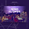 Wind Flower - 思琪同学&你的南杉