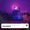 Goodbye - Boix & Breakloop&CARLITTOS