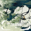 杏花弦外雨 - 寞笙
