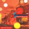 Lights In The Sky (feat. Michael Heid) - Sunforst&Michael Heid