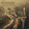 The Reason - December Screams Embers