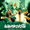 Wankolota (feat. Bassie, T&T Muziq) - Pushkin RSA&springle&Bassie&T&T MuziQ