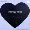 I Won't Let You Go (feat. Thori, Fumane Keys & Johnny Guitar) - Record L Jones&Thori&Fumane Keys&Johnny Guitar