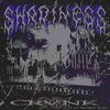SHADINESS (feat. dxstroy playa) - 901 CRVNK&Dxstroy Playa
