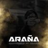 Araña (feat. Kimura) (Explicit) - DanyDiablo&Kimura