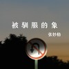 被驯服的象 - 张妙格