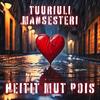 Heitit mut pois - TuuriUli&Mansesteri