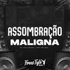 Assombração Maligna (Explicit) - DjLzr o Brabo&FreesTyle Sounds&MC Lele