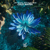 Cold Water - LØST SIGNAL&Ben Plum&Tezis