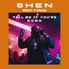 Tell Me If You're Down (feat. T-Pain) (Explicit) - SHEN&T-Pain