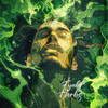 Herbs - Fyah P
