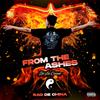 From the Ashes (Explicit) - Rao Fu