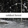 Сoldest Forest - Alexei