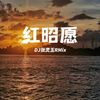 红昭愿 (DJ张灵玉、DJ尤宏pro、DJ Siqe版) - 干磊&尤宏pro&Siqe