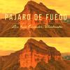 Pajaro de Fuego (Live from Ecuador) - Wicked and Bonny