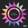 Distortion (Extended Mix) - C.O.Z
