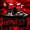 Harvest (Explicit) - SKALLI&Hurracane&C. Ray