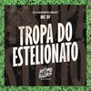 Tropa do Estelionato (Explicit) - Mc Bf&DJ MARKIN BEAT