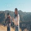 Shape Of You | Cheez Badi Hai (Vidya Vox Mashup Cover) - Vidya Vox