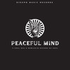 Peaceful Mind (Original Mix) - X-soul RSA&Newlexim&Oxford Da Soul