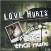 ฟ้าลวงฟ้าลืม - Punch