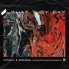What They Say - Drizon&Breseb