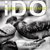 A Bird In The Hand (feat. Rapture X) - ido&Rapture X