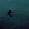 Toxic Lover (feat. killzayxo) (Explicit) - Keyy Bandzz&KillZayXO