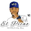 El Picao - NVR Rulay