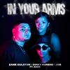 In Your Arms (feat. Dinky Kunene, Job & Sabs) - Zane Gulston&Dinky Kunene&Job&Sabs