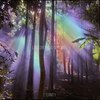 Eternity - LX$T DREXM&VLWXYSMILE