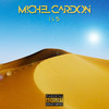 Michel cardon (Explicit) - Ils
