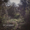 Encapsulation - Ex Anima