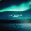 Waiting For You - Tungevaag