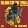 Tabacada Boa (Ela é Safadinha) - MC Tchelinho&Leo Justi&Heavy Baile