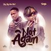 Not Again (feat. Sangie) - Jay Jay Cee Mw&Sangie