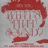 (Hey You) What's That Sound (ft. Les Rythmes Digitales) - Ben Sterling&Les Rythmes Digitales