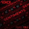 Sentiments (feat. YX.I) (Explicit) - Vynck&YX.I