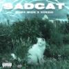 SADCAT (feat. KIIXSHI) (Explicit) - KIIXSHI&DRIFT WISH