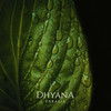 Paralia - Dhyana