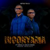 INGONYAMA (Radio Edit) - Heptad Tha DJ&Mbali&GOLD CHAIN