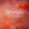 Shawn Mendes-Senorita (KAMA remix) - Kama