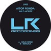 Wild Horse (Original Mix) - Aitor Ronda