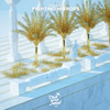 Fighting Mirrors - Iceleak