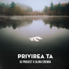 Privirea ta - DJ Project&Alina Eremia