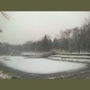 秘密的雪 - 王皓