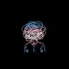 MIXED FEELINGS - Roby Koenigs